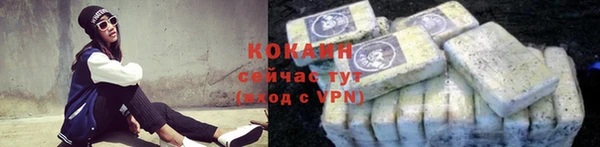 соль ск Белокуриха