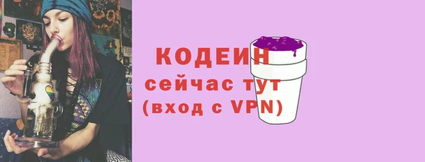 соль ск Белокуриха
