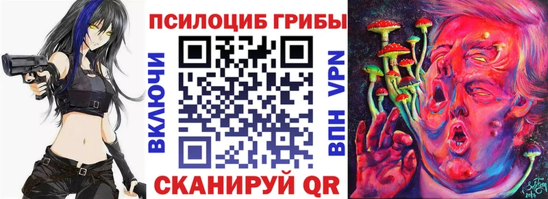 Псилоцибиновые грибы Cubensis  цены наркотик  Курильск 